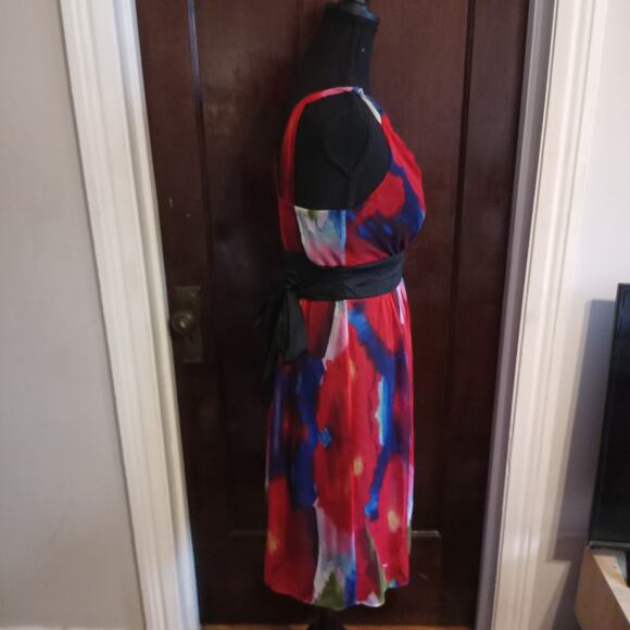 The Limited Empire Waist Dress Watercolor Tie Dye Red Poppy Floral Chiffon Sz 4 - Picture 7 of 11